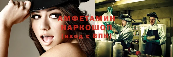 индика Дмитров