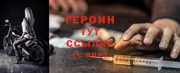 индика Дмитров