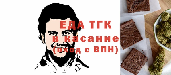 индика Дмитров