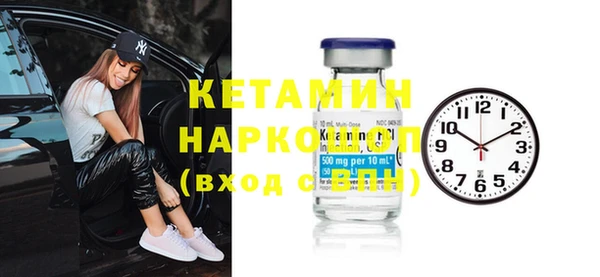 индика Дмитров