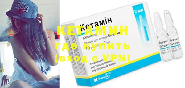 индика Дмитров
