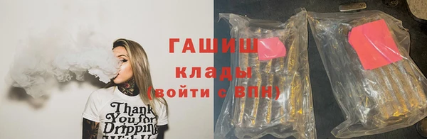 индика Дмитров
