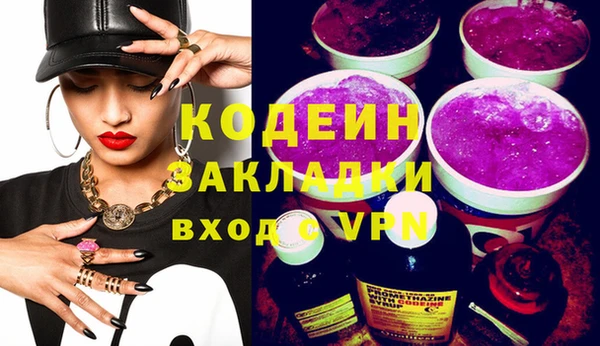 индика Дмитров