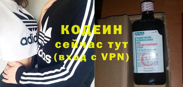 индика Дмитров