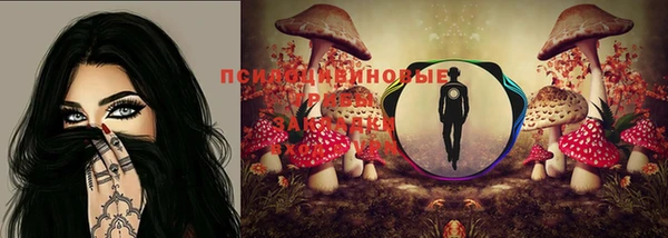 индика Дмитров