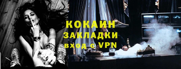 индика Дмитров