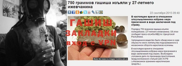 индика Дмитров