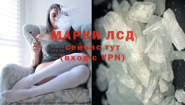 индика Дмитров